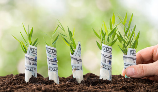 How to Grow Your Newly Purchased Site Using Content